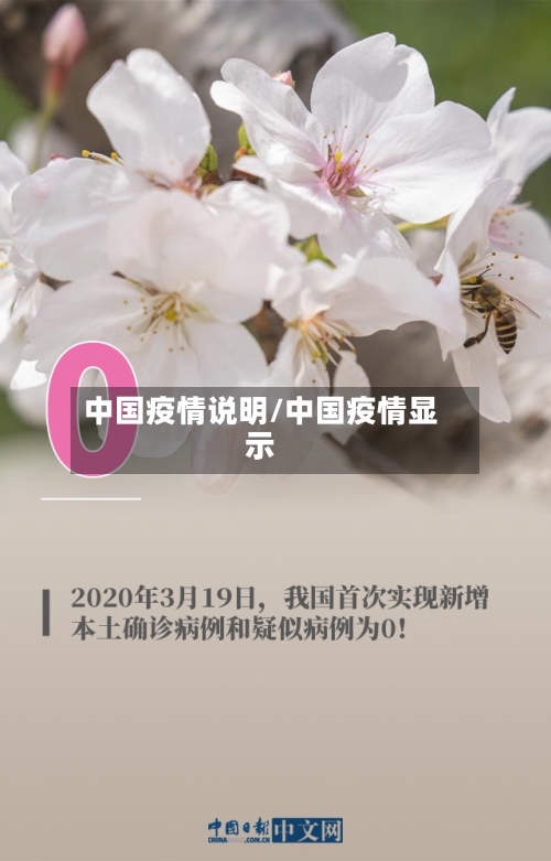 中国疫情说明/中国疫情显示