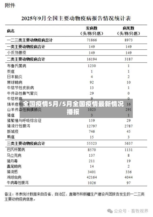 全国疫情5月/5月全国疫情最新情况播报-第1张图片
