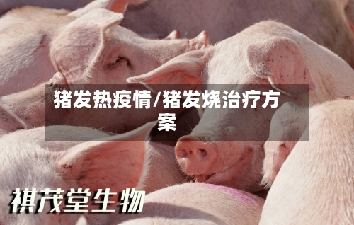 猪发热疫情/猪发烧治疗方案-第1张图片