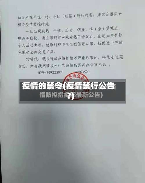 疫情的禁令(疫情禁行公告?)-第1张图片