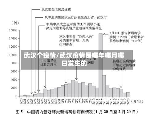 武汉个疫情/武汉疫情是哪年哪月哪日发生的-第2张图片