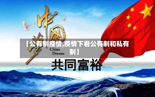 【公有制疫情,疫情下看公有制和私有制】