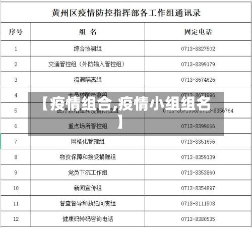 【疫情组合,疫情小组组名】