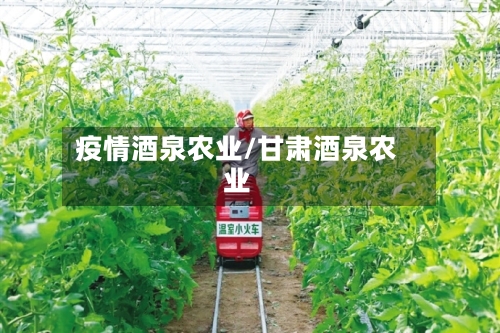 疫情酒泉农业/甘肃酒泉农业-第1张图片