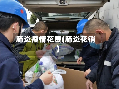 肺炎疫情花费(肺炎花销)-第1张图片